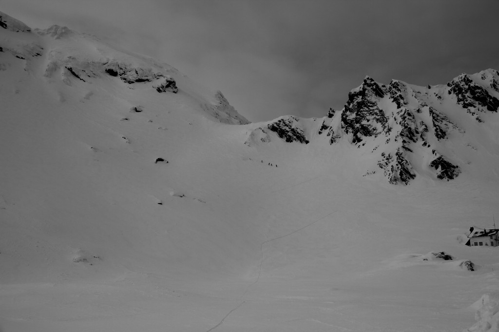 _MG_5617
